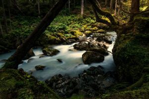 Beautiful long exposure of river in Adamello Brenta natural park