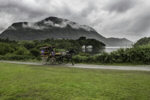 A summer day in Ireland