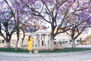 Beautiful blonde woman walking in yellow dress at Paphos old city with pink blossom tree. Travel to