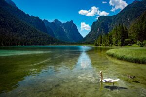 Lake Dobbiaco in the Dolomites, Italy