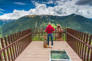 Man and dog overlooking at Andorra from observation deck.