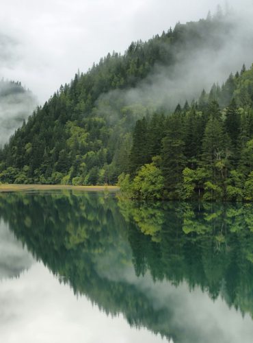 Arrow Bamboo lake i in Jiuzhaigou, China, Asia